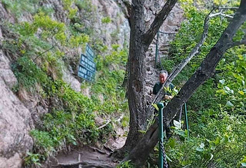 拉法山国家森林公园第 21 张图片