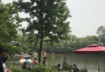 长风公园第 25 张图片