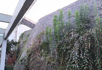 清名桥古运河景区第 62 张图片