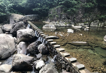 天目山自然保护区第 123 张图片