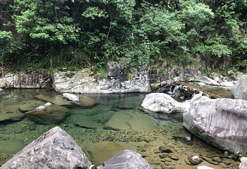 天目山自然保护区第 121 张图片