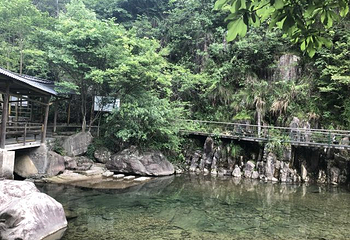 天目山自然保护区第 118 张图片