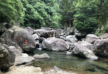 天目山自然保护区第 117 张图片