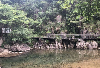 天目山自然保护区第 115 张图片