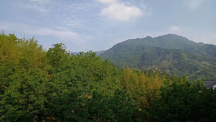 天目山自然保护区第 122 张图片