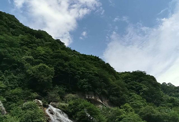 红河谷森林公园第 40 张图片