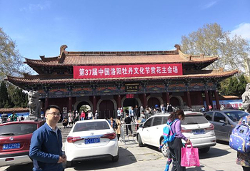王城公园第 56 张图片