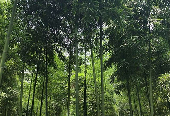 十九峰第 96 张图片