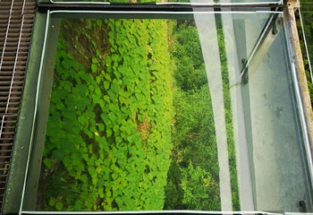 十九峰第 91 张图片