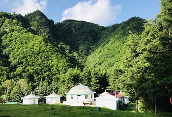 六盘山国家森林公园第 14 张图片
