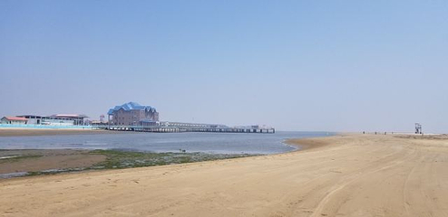 月岛第 49 张图片