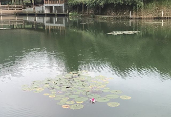 花岩溪第 16 张图片