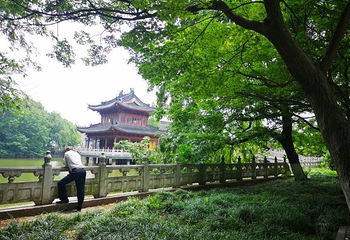 焦山第 74 张图片