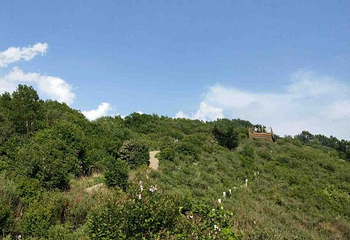 野三坡百草畔景区第 28 张图片