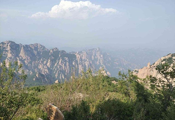 祖山风景区第 65 张图片