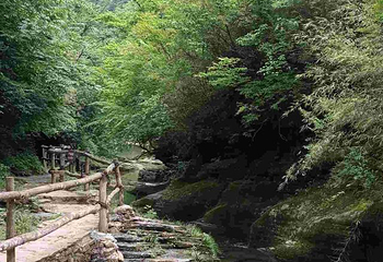 黎坪森林公园第 28 张图片