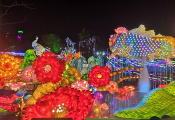 中国彩灯博物馆第 30 张图片