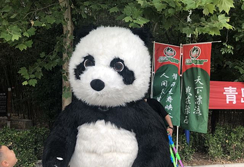 豫西大峡谷风景区第 93 张图片