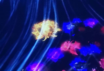 teamLab油罐中的水粒子世界第 8 张图片
