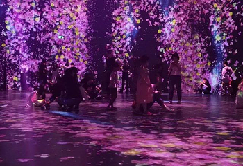 teamLab油罐中的水粒子世界第 7 张图片