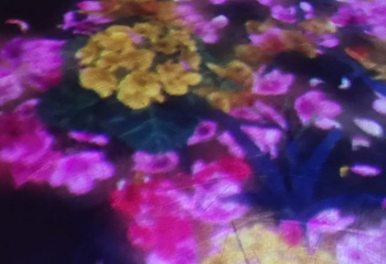 teamLab油罐中的水粒子世界第 4 张图片