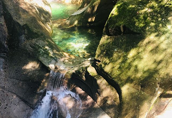 醉山野景区第 81 张图片