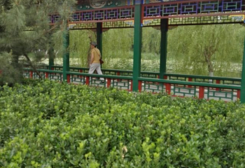 北宁公园第 48 张图片