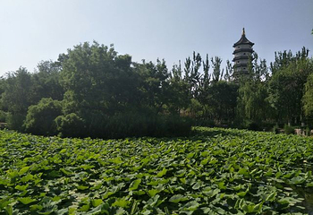 北宁公园第 39 张图片