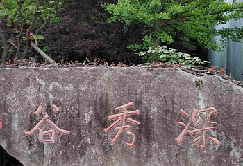 四明山国家森林公园第 28 张图片