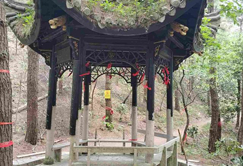 四明山国家森林公园第 24 张图片