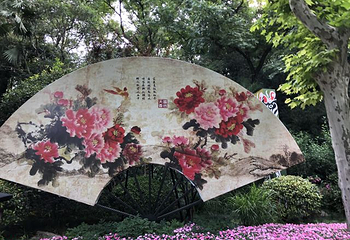 长风公园第 22 张图片