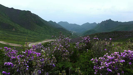 吐鲁沟国家森林公园第 24 张图片