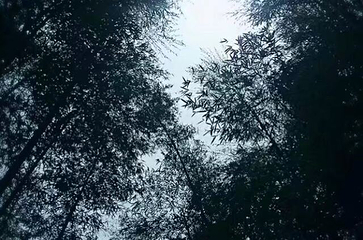 竹洞天风景区第 19 张图片