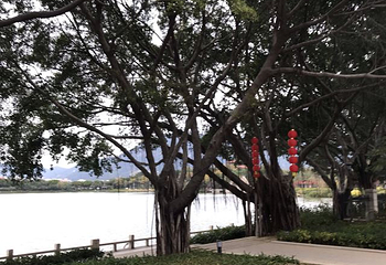 衡阳西湖水上乐园第 14 张图片