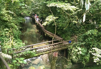 青城后山第 62 张图片