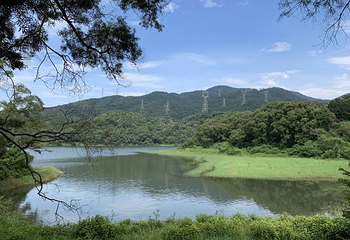 天竺山森林公园第 21 张图片