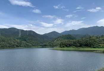 天竺山森林公园第 20 张图片