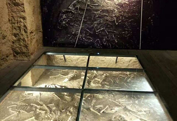 中国古车博物馆第 22 张图片