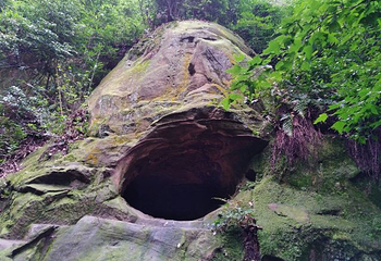 缙云山生态旅游观光索道第 23 张图片