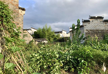 关麓古村景区第 22 张图片