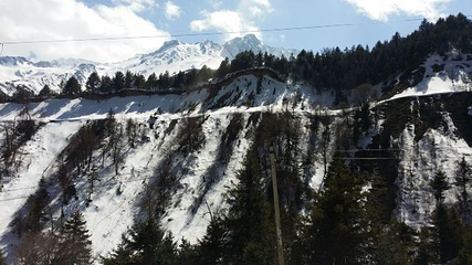 白马雪山第 11 张图片