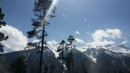 白马雪山第 9 张图片