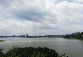 星湖湿地公园第 31 张图片