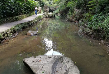 洪崖丹井景区第 36 张图片