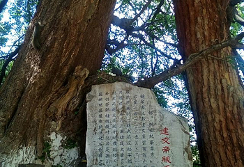 西山风景区-太华寺第 7 张图片