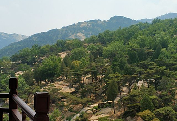 新甫山景区第 77 张图片