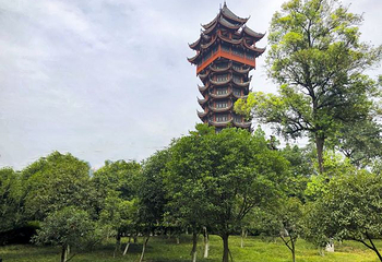 塔子山公园第 61 张图片