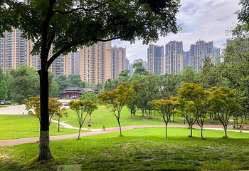 塔子山公园第 59 张图片