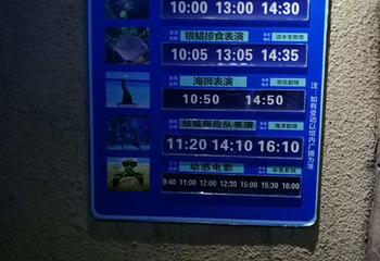 南昌海洋公园第 44 张图片
