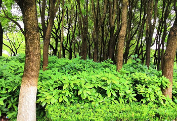 珍珠泉风景区第 18 张图片